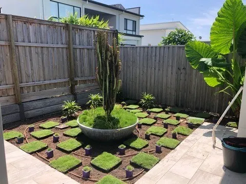 Checkerboard of turf squares and pavers around a circular feature garden with a tall cactus