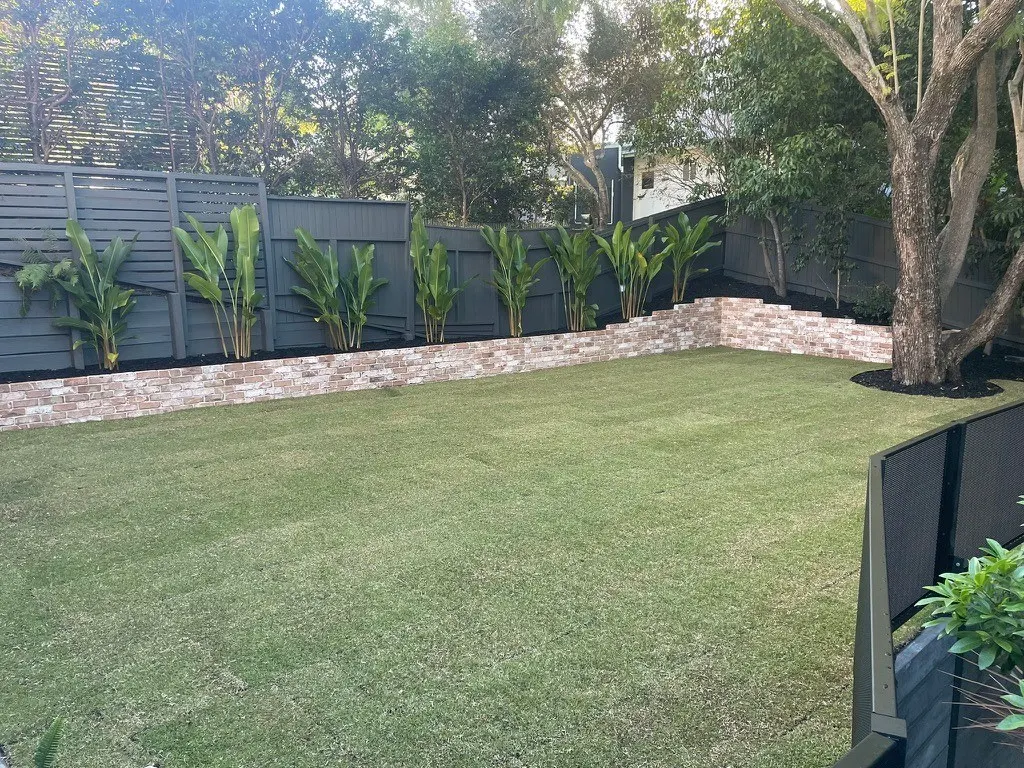 Wide new lawn with slatted grey screen fence, stone edging and fresh planting