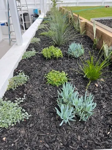 Garden bed of succulents and grasses in dark mulch along a timber sleeper retaining wall