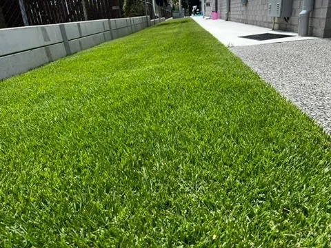 Neat strip of new turf running alongside an exposed aggregate driveway